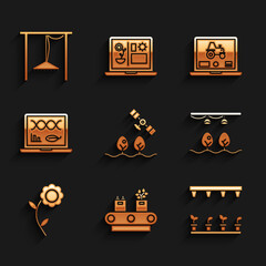 Set Smart farm with drone, Conveyor belt box, Automatic irrigation sprinklers, bulb and plant, Flower, Genetic engineering modification, Laptop application for smart and icon. Vector