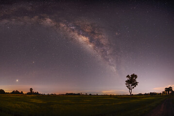 Panorama blue night sky milky way, star on dark background shadows of trees and meadows. with noise and grain.Photo by long exposure and select white balance.selection focus.