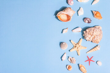Summer vacation concept. Assorted seashells on a pastel blue background