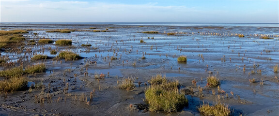 wide horizon with marshlands at the North Sea