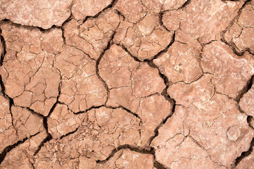 Dry clay soil texture during dry season