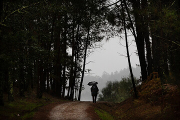 Peregrino se protege de la lluvia en el Camino de Santiago Portugués en Aldea Bascuas, A Esclavitude.