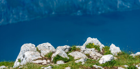 Detailaufnahme einer kleinen Felsformation mit Blumen auf dem Gipfel.
