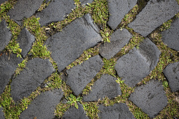 Cobble path with grass and weeds