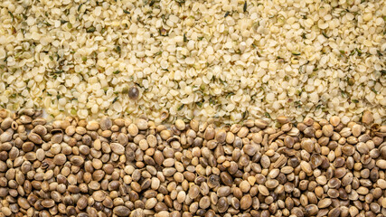 dry hemp seed and hearts closeup background, superfood concept