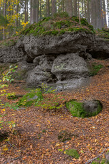 Stone visor made of boulders in the forest