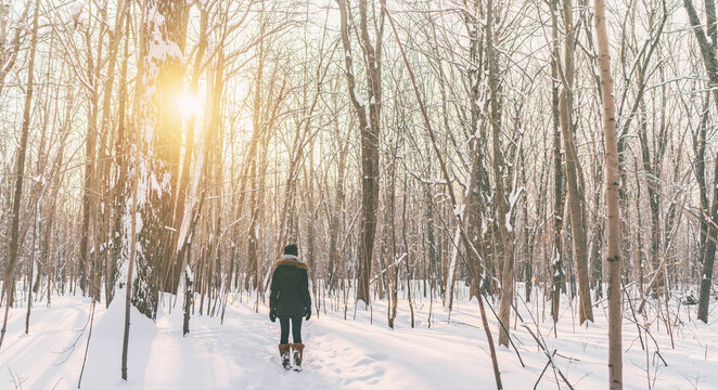 Winter Snow Walk Woman Walking Away In Snowy Forest On Woods Trail Outdoor Lifestyle Active People. Outside Leisure. Lost Wanderlust Girl Hiking In Nature.