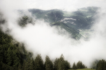 Cloud-capped forest and mountains. Misty morning in the Alps, mystical and dreamy.
