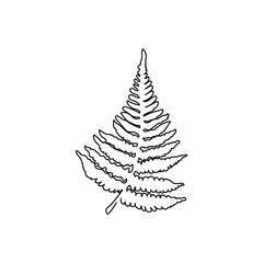 Fern branch continuous line drawing. One line art of leaves, herb, jungle botanical.