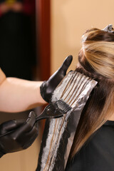 Professional female hairdresser applying color to female customer at design hair salon, woman...