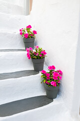 Flower Pots on White Stairs in Mykonos, Greece