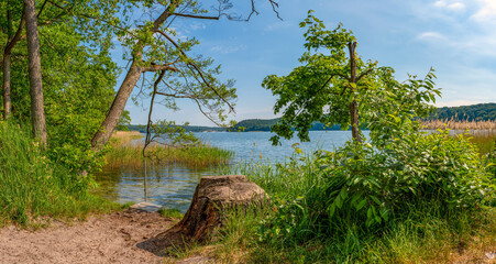 Naturparadies Werbellinsee Taucheinstieg 