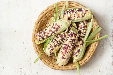 Fresh raw corn cob  on the white background