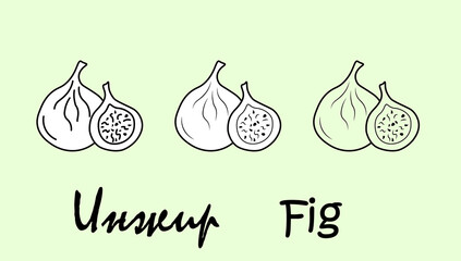 A set of fig fruit objects with the inscription 