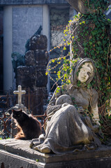 Un gatto seduto accanto alla statua di una donna triste su una tomba del cimitero delle Porte Sante...