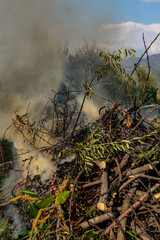 Pile of dry tree branches, fallen leaves and cut grass burning in campfire with poisoning smoke rising in air. Problem of abandoned fields, meadows and gardens, springtime cleaning causing