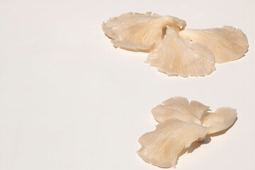 The Amazing Benefits of Oyster Mushrooms for Body Health