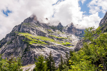 Grindelwald, Wetterhorn, Wanderweg, Grosse Scheidegg, Milchbach, Oberer Grindelwaldgletscher,...
