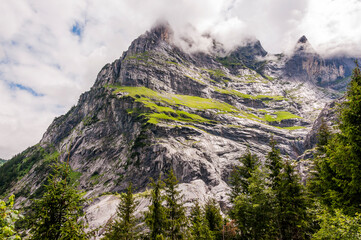 Grindelwald, Wetterhorn, Wanderweg, Grosse Scheidegg, Milchbach, Oberer Grindelwaldgletscher, Glecksteinhütte, Berglistock, Alpen, Berner Oberland, Sommer, Schweiz