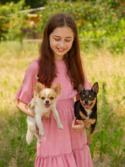 Two dogs in the arms of a teenage girl. black and white chihuahua.