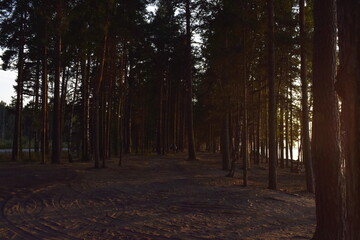 Fototapety na wymiar - Fototapeta24.pl