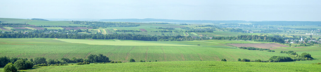 Fototapeta na wymiar Beautiful panorama of agricultural fields and hills on a summer day in Ukraine