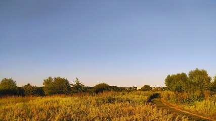 Fototapeta premium autumn landscape with trees