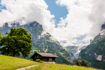 Grindelwald, Schreckhorn, Unterer Grindelwaldgletscher, Eiger, Eigernordwand, Wanderweg, Alpen,...