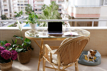 Jack russell terrier pup sitting on the balcony near the designated working area of a freelancer. Copy space for text, background.