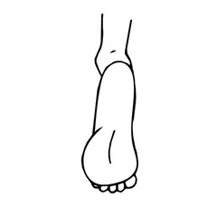 Black line drawing of the foot .Line drawing of female legs. Pedicure, body care and beauty. Feet health. Outline black and white illustration.Woman's feet outline isolated on white background.