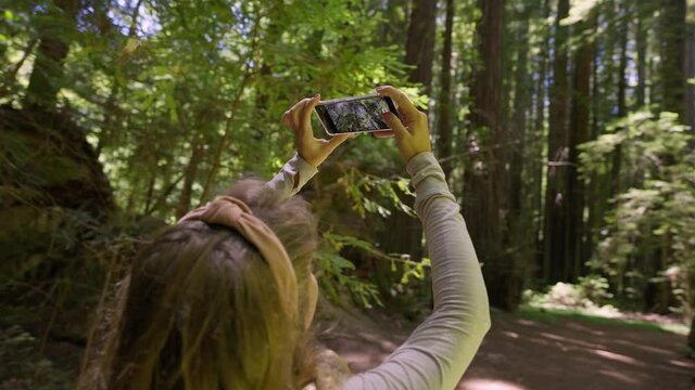 Gir Is Taking a picture in Redwood Forest