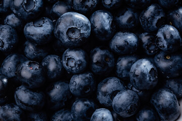 Freshly picked blueberries in coconut bowl on dark background.