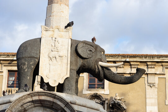 This image shows the Fontana dell'Elefante, a landmark of the City of Catania. The elephant is carved out of lava rock.