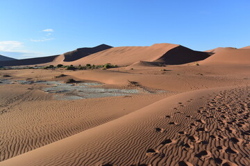 Fototapeta na wymiar namib desert