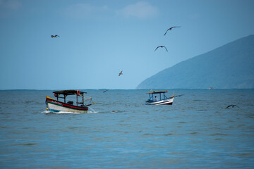 barcos em alto mar, pescaria