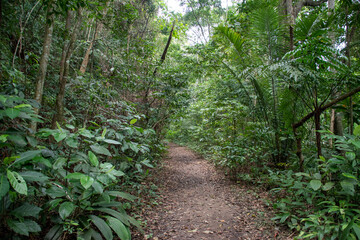 caminhos da natureza
