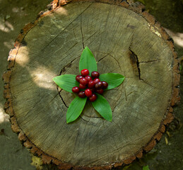 on a wooden bench,theis a freshly picked berry on the leaf
