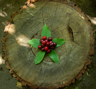 on a wooden bench,theis a freshly picked berry on the leaf