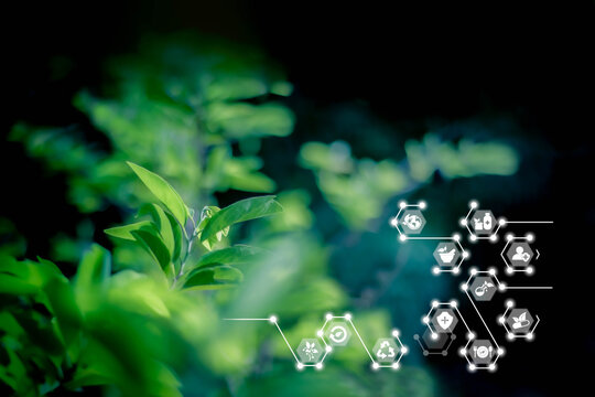 Blurred nature background with ai technology IOT. Herbal remedies. Nature sustainable energy logo. Agriculture, environmental and alternative medicine concept. Ecology reuse and data analysis report