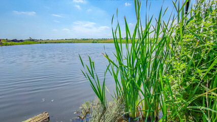 Fototapeta premium Landscape with a lake and clouds in the sky in the summer season