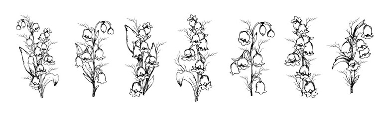 Fototapeta na wymiar hand-drawn set with Lily of the valley flowers, primroses . realistic element in black, white. Botanical sketch for print, decoration, decor, Wallpaper. vintage style