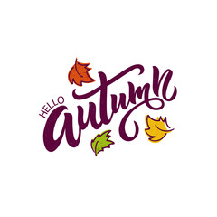 Hello Autumn handwritten text and falling leaves isolated on white background. Vector illustration as poster, postcard, greeting card, invitation. Modern brush ink calligraphy, hand lettering