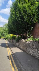 the road down the hill