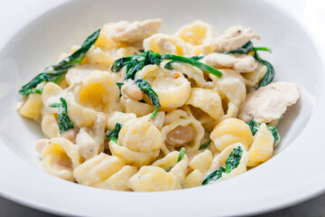 pasta with chicken meat, spinach and chick peas