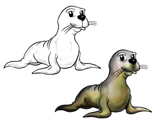 Harp seal cartoon color and line