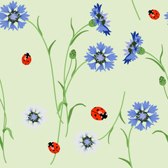 Seamless floral pattern with blooming branches of cornflower or knapweed plant and ladybug beetles. Cute summer wildflower motif. On light green background. © Olena