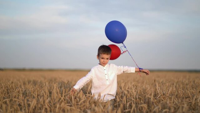 Cute boy walk in the wheat field with balloons
