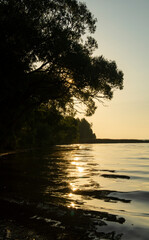 Fototapeta na wymiar Beautiful gentle sunrise on the shore with black tree silhouette
