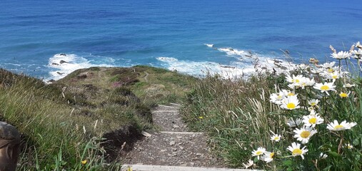Southwest, coastal path, steps, gravel, trail, track, hike, hikers, daisies, wildflowers, sea, Seaview, blue, aqua, foam, waves, white horses, rocks, reef, shrub, 