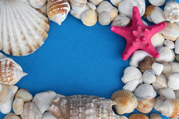 seashells and starfish on a blue background top view